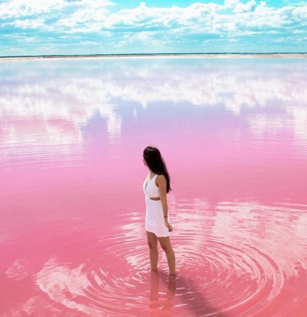 Coloradas and Rio Lagartos